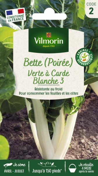 Potagères - Poirée Verte à Carde Blanche 3 - PACKAGING_RECTO